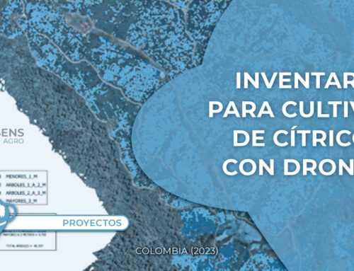 Proyecto | Mapsens Agro | Cartografía e inventario de plantación de cítricos con drones